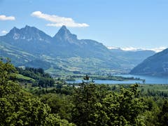 Nur wer den Aufstieg auf den Turm im Tierpark Goldau wagt, wird mit dieser wunderschönen Aussicht auf den Lauerzersee und die beiden Mythen belohnt. (Bild: Margrith Imhof-Röthlin, 1. Juni 2019)