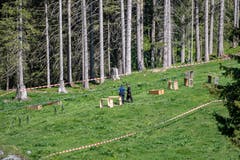 Die von der Polizei abgesperrte Unfallstelle nach einem Unglück bei den Revisionsarbeiten der Gondelbahn zwischen Engelberg und Trübsee. (Bild: Urs Flüeler/Keystone, Engelberg, 5. Juni 2019)