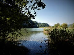 Natur pur: An diesem wunderschönen Wichelsee kommt man auf der Wanderung von Alpnachstad nach Sarnen vorbei. (Bild: Margrith Imhof-Röthlin, Wichelsee, 7. Juni 2019)