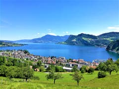 Die Aussicht auf den Vierwaldstättersee, den Bürgenstock und die Rigi bei strahlendem Sonnenschein. (Bild: Urs Gutfleisch, Hergiswil, 8. Juni 2019)