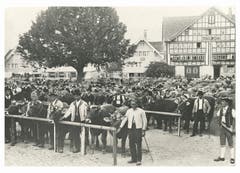Viehschau auf dem Landsgemeindeplatz in Appenzell. Der Senn rechts aussen wurde schon in früheren Zeiten ins Bild hineinretouchiert. (Bild: Emil Manser, Appenzell/Landesarchiv AI)