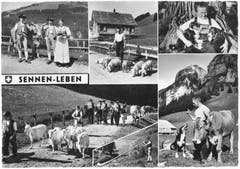 Appenzeller Sennenleben. (Bild: Foto Gross, St.Gallen/Landesarchiv AI)