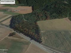Auf dem Google Earth-Foto des selben Ortes von Ende Juli 2018 sind die Laub-Verfärbungen deutlich sichtbar. (Bild: Google Earth/WSL)