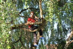Wenn die Leiter auf die Bäume klettern, flüchten sie wohl von einer wilden Bande von Wölfen. (Lagerbild: Wolfsmeute Aurora der Pfadi St. Gallus Kriens, Steffisburg, 9. Juli 2019)