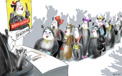 Bärin gesucht! Die Gleichberechtigung zwischen Männlein und Weiblein wird dank eines Parlamentsvorstosses der Linken erneut zum lokalen Politthema. Frauen sollen in Kader- und Führungspositionen jeweils zur Hälfte vertreten sein. Da geht auch der St. Galler Bär mit gutem Beispiel voran: Er sucht jetzt eine passende Kollegin. (Illustration: Corinne Bromundt - 6. Juli 2019)