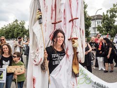 (Bild: Hanspeter Schiess)