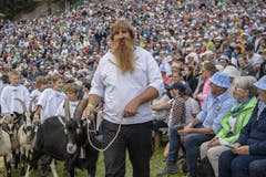 Die Älplerfamilie Rickenbach bei ihren traditionellen Alpaufzug. (Bild: Urs Flüeler/Keystone, Rigi, 14. Juni 2019)