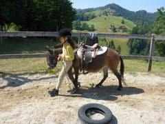 Alessia führt Mula im Round-Pen herum vor dem Aufsteigen. (Lagerbild: Reitferiencamp mit Maultieren, 10. Juli 2019)