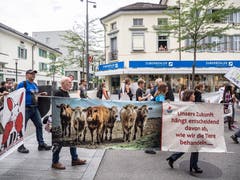 Bilder vom grenzüberschreitenden Animal Pride Day Kreuzlingen-Konstanz. (Bild: Hanspeter Schiess)