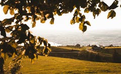 Blick vom Zugerberg auf die Stadt Zug. (Bild: Daniel Hegglin, Zug, 13. Juli 2019)