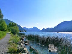 Traumhafte Aussicht auf den wunderschönen Alpnachersee bei strahlendem Sonnenschein. (Bild: Urs Gutfleisch, Alpnachstad, 14. Juli 2019)