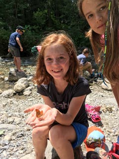 Die Natur zeigt sich in Sörenberg von ihrer schönsten Seite. Speziell den Schmetterlingen gefällt es toll bei den Ribi-Piraten. (Lagerbild: Schule Giswil, Ribilager, 10. Juli 2019)