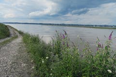 Rheinmündung - Nahtloser Übergang in den See. (Bild: Fredy Zünd)