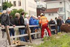 Anschliessend werden die geschnittenen Scheiben verteilt. Bild: yal