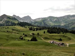 Der Natur auf der Spur: Dieses herrliche "Flecklein-Erde" findet man auf Glaubenbielen. (Bild: Margrith Imhof-Röthlin, 6. Juli 2019)