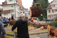 Manche Interessenten haben im Vorhinein grösser Teile der Mammutbäume reserviert. Bild: yal