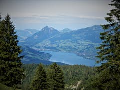 Was für eine herrliche Aussicht: Sarnersee und Stanserhorn, aufgenommen auf dem Weg von Glaubenbielen nach Giswil. (Bild: Margrith Imhof-Röthlin, 6. Juli 2019)