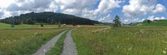 Naturinsel im Hochtal von Gonten. (Bild: Walter Schmidt)