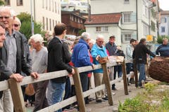 Rund 30 Personen wollen eine Scheibe Mammutbaum ergattern. Bild: yal