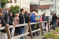 Rund 30 Personen wollen eine Scheibe Mammutbaum ergattern. Bild: yal