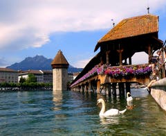 Nicht nur für Touristen ist diese Kulisse ein Traum. (Bild: Walter Buholzer, Luzern, 16. Juli 2019)