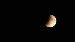 Vogelsang, 22 Uhr. (Bild: Daniel Meier)