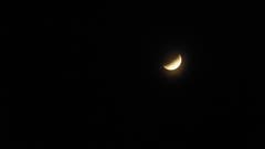 Vogelsang, 23.30 Uhr. (Bild: Daniel Meier)