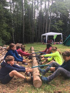 Die Mapfis und Bupfis der Pfadi Kriens sägen fleissig Holz. Lagerbild: Pfadi St. Gallus Kriens, Pfadistufe (Peccia, 8. Juli 2019)