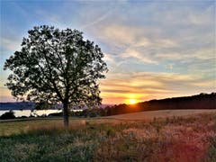 Wunderschöner Sonnenuntergang mit dem Sempachersee im Hintergrund. (Bild: Urs Gutfleisch, Sempach, 16. Juli 2019)