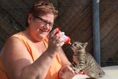 Den Katzennachwuchs muss Monika Riepl altersgerecht ernähren.(Bild Yann Lengacher)
