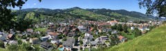 Blick auf Altstätten. (Bild: Toni Sieber)