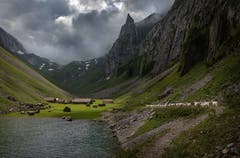 Spiel von Licht und Dunkel am Fälensee. (Bild: Ueli Bächtold)