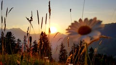 Ein wunderschöner Sonnenuntergang über den Eggenbergli. (Bild: Lydia Arnold, Bürglen, 19. Juli 2019)