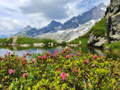 Etwas versteckt, aber wunderschön: der kleine Bergsee «Düsselisee». (Bild: Martina Tresch, Maderanertal, 20. Juli 2019)