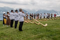 Auf der Rigi Staffelhöhe fanden sich am Sonntag 26 Alphornbläser zu einem improvisierten Konzert ein. (Bild: Nadia Schärli, Rigi Staffelhöhe, 21. Juli 2019)