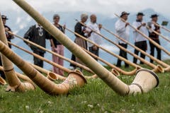 Auf der Rigi Staffelhöhe fanden sich am Sonntag 26 Alphornbläser zu einem improvisierten Konzert ein. (Bild: Nadia Schärli, Rigi Staffelhöhe, 21. Juli 2019)