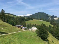 Sommerfrische auf dem Montlinger Schwamm. (Bild: Toni Sieber)