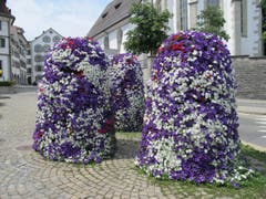 Der Marktplatz in Herisau schön dekoriert. (Bild: Claudine Germann)