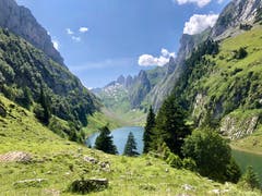 Fälensee und im Hintergrund der Altmann aus Sicht vom Berggasthaus Bollenwees. (Bild: Daniel Metzler)
