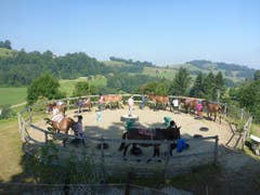 Die Maultiere im Reitferiencamp werden durch den «Round-Pen» geführt, bevor die Kinder auf die Tiere aufsteigen. Lagerbild: Reitferiencamp mit Maultieren (Wilisau, 21. Juli 2019)