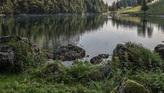Am Ufer des Seealpsees. (Bild: Renato Maciariello)