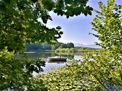 Der idyllische Steinibühlweiher mit einem weissen Boot. (Bild: Urs Gutfleisch, Sempach, 24. Juli 2019)