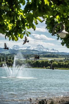 Der Säntis ist auch aus der Ferne ganz schön anzusehen – hier am Bodensee in Arbon aufgenommen. (Bild: Urs Bucher)