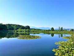 Der Stinibühlweiher ist auch aus einem anderen Blickwinkel schön anzusehen. (Bild: Urs Gutfleisch, Sempach, 24. Juli 2019)