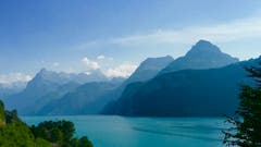 Wer nicht am Steuer sitzt und die Autofahrt entlang der Axenstrasse geniessen kann, der geniesst einen herrliche Ausblick auf den Urnersee und die Urner Berge. «Wie von einem Künstler gemalt», schreibt der Fotograf zu diesem Bild. (Bild Peter Bumbacher, Axenstrasse, 23. Juli 2019)