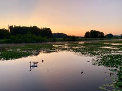 Sonnenaufgang bei den Bommer Weihern. (Bild: Reto Schubnell)