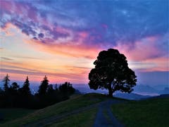 Wunderbares Morgenrot auf dem Holderchäppeli/LU. (Bild: Urs Gutfleisch, 26. Juli 2019)