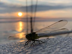 Die Ruhe am Abend... in Arbon. (Bild: Markus Bischof)