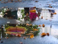 Seit Freitagnachmittag hat es in der Schweiz teilweise grössere Regenmengen gegeben. Besonders viel Regen fiel in Altenrhein und auf dem Chasseral. (Bild: KEYSTONE/MARTIAL TREZZINI)