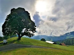 Wunderschöne Morgenstimmung mit einem Sonnen- und Wolkenspektakel auf dem Holderchäppeli/LU. (Bild: Urs Gutfleisch, 29. Juli 2019)